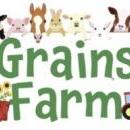 GrainsFarm3